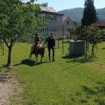 phoca_thumb_m_ponk 19 Fotogalerie